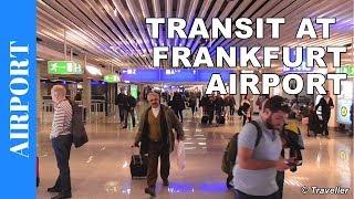 TRANSIT WALK AT FRANKFURT Airport FRA Terminal 1  Connection Flight Transfer Arriving amp Departing [upl. by Ovida734]