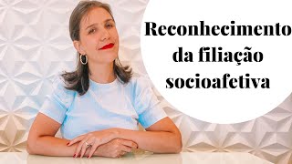 Reconhecimento de filiação socioafetiva  Natália Fachini [upl. by Carie]